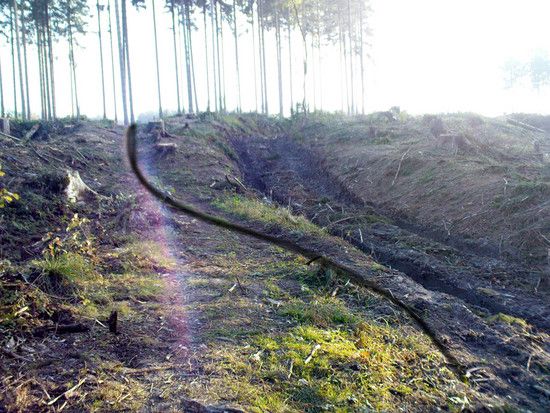 Neuer Alter Trail 