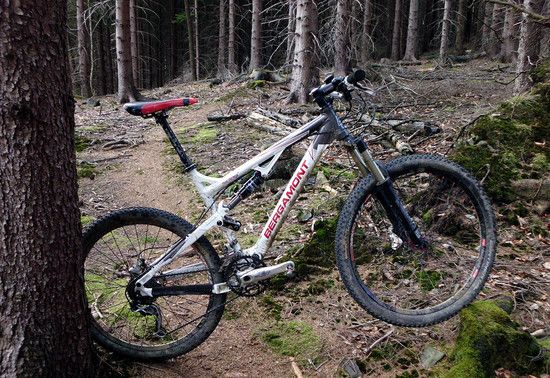Threesome on Trail
