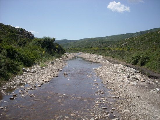 DSCN0970