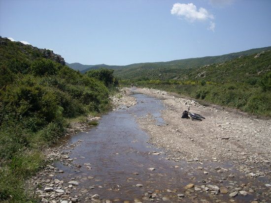 DSCN0972