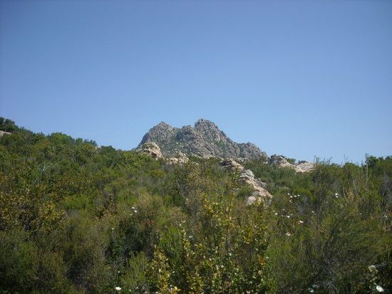 DSCN0994