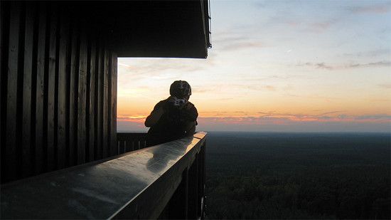IMG 4774