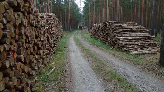 P1010248