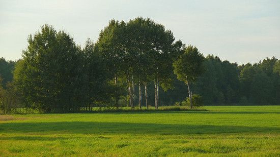 P1020422