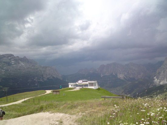 DSC00995