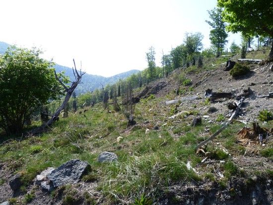 Vogostern2011-02