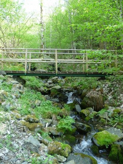 Vogostern2011-16
