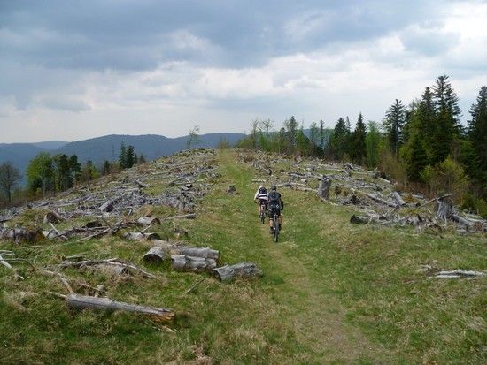 Vogostern2011-22