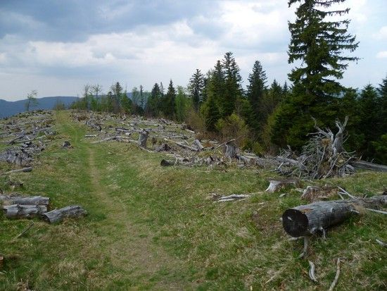 Vogostern2011-23