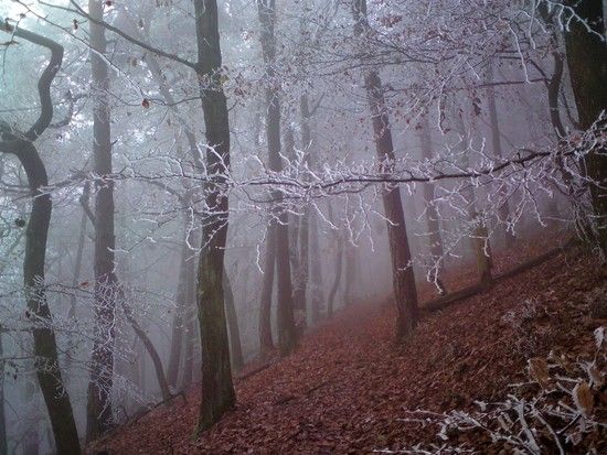 WinterWinds01