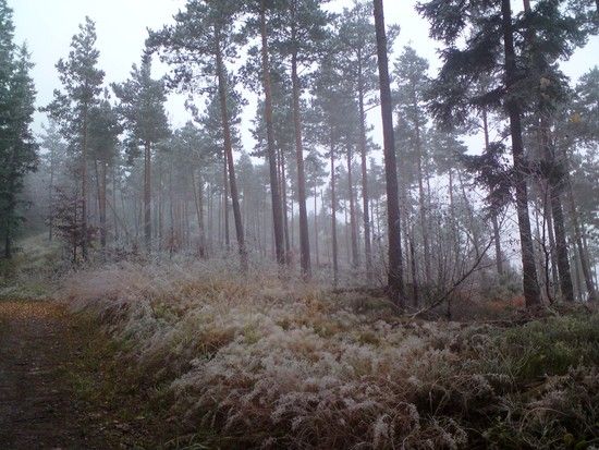 WinterWinds02