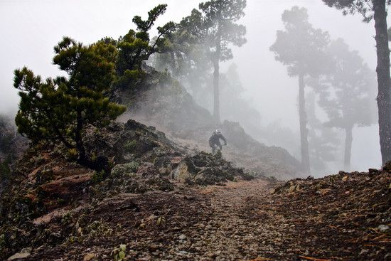 La Palma