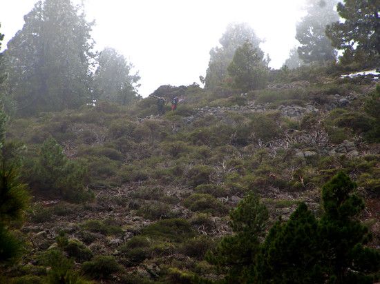La Palma
