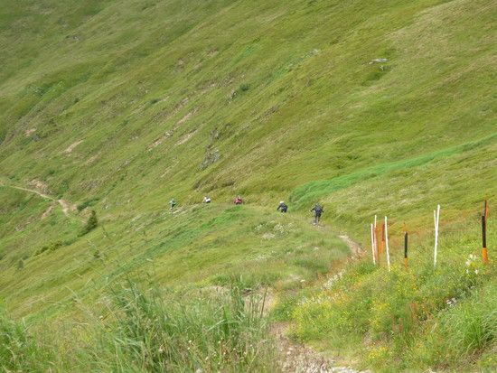 Wildkogel