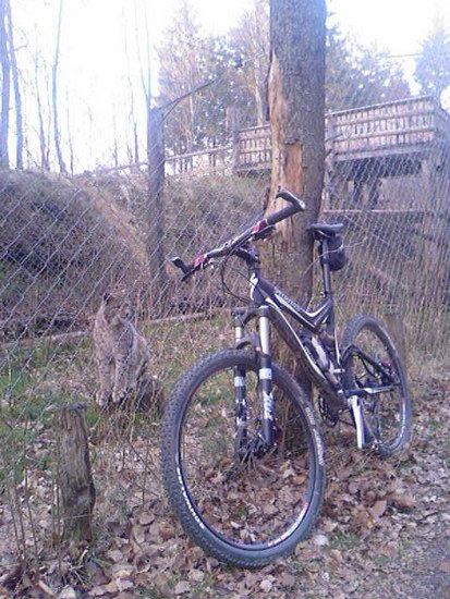 Photo-0044