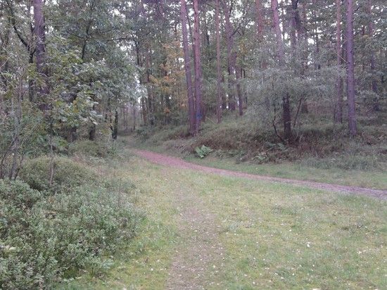 Foto0709