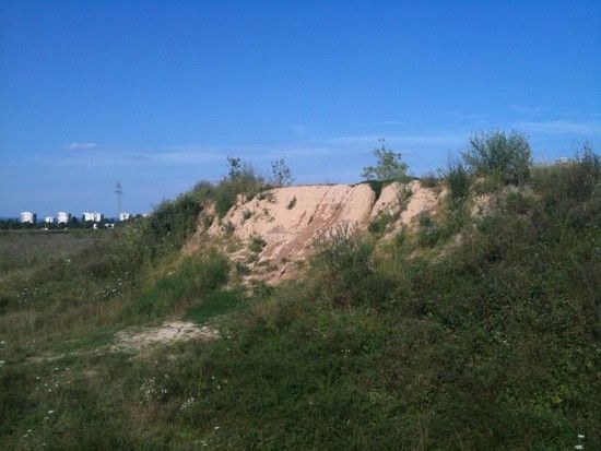Mittelteil Dirt