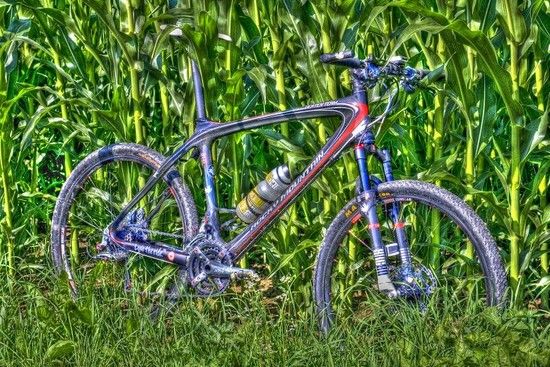Vertex in HDR