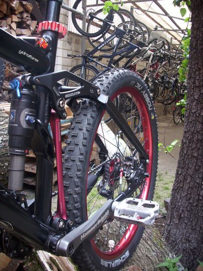 DSCI0667