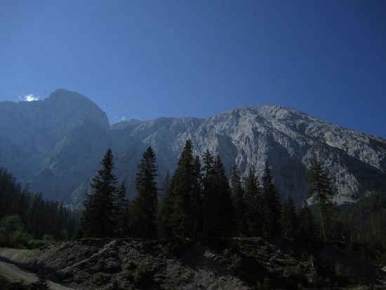 IMG 0366