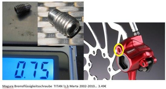 Magura Fluit schraube