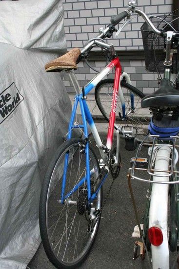 Ritchey P21 02
