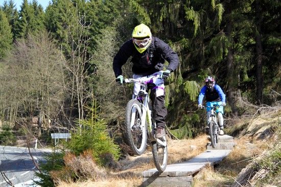 harz2011 3