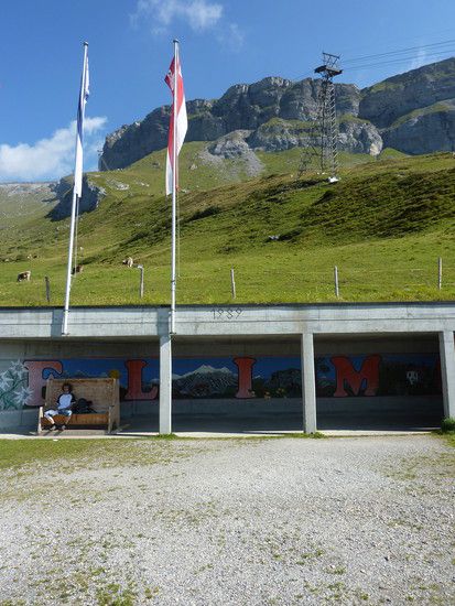 FLIMS
