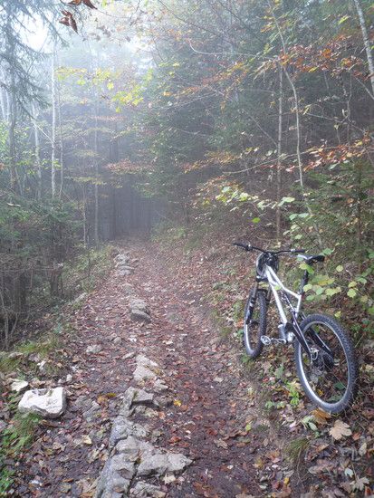 101012-01Reitweg