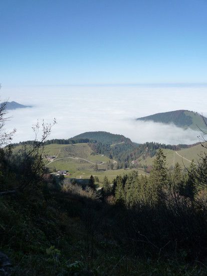 101012-12berdenWolken