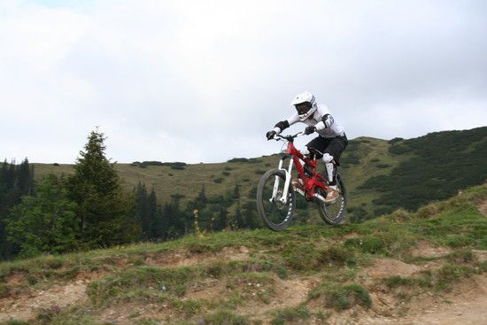 IMG 4581