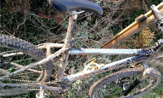 Backfire600