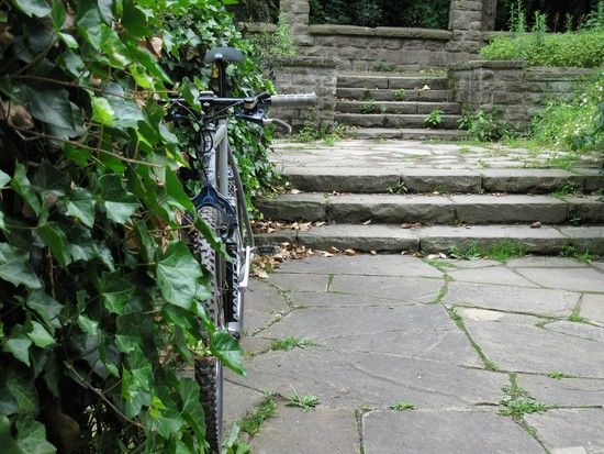 BlaetterundBike