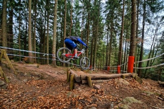 Wildbad