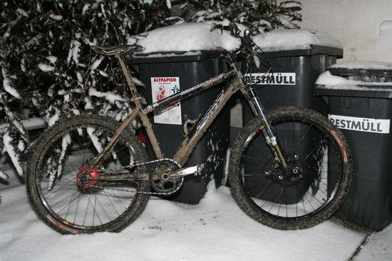 CoveWinter