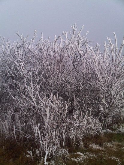 IMG00207-20101121-1230