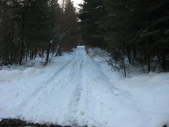 IMG 3468