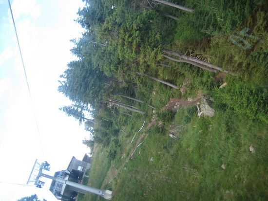 IMG 1772