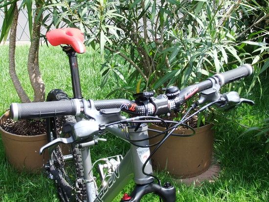 Das &quot;Grautier&quot; mit Carbonupgrade