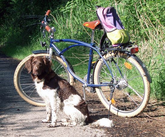 95er MAXX-Cruiser 2003