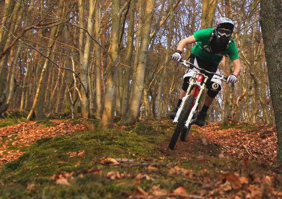 Weiskricher Trails