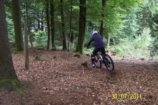 Bild 185.jpg
