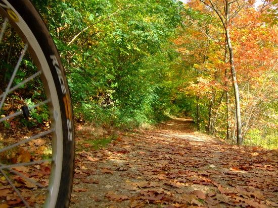 herbst klein