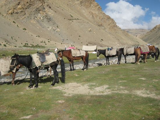 Himalaya2011139