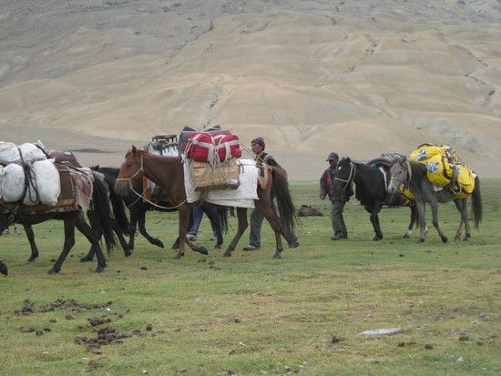 Himalaya2011179