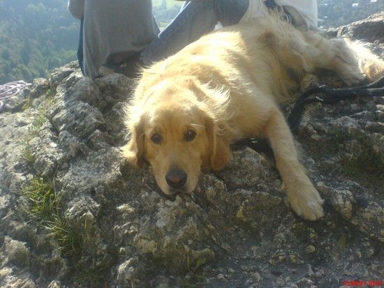 diego