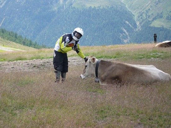 moggele in livigno