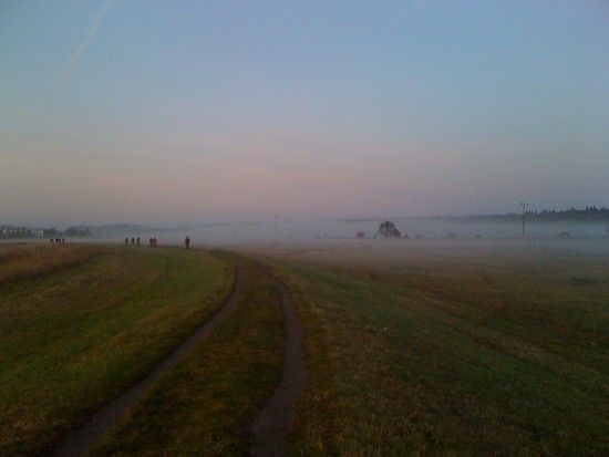 IMG 1624