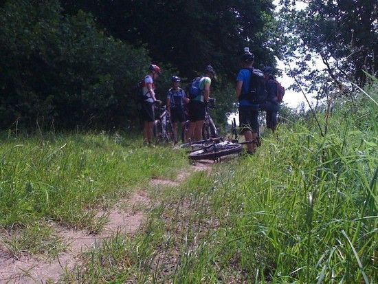 MarNeunddie7Zwerge-zweifehltendanochdiehamsichverbummeltimWald