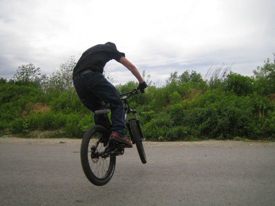 IMG 3556